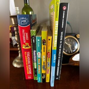 Assorted Children's Book Set - Multicolor